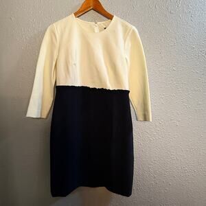 J. Crew NWT Dress Size 10P New